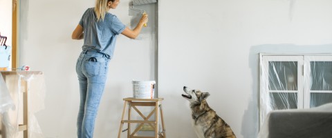 1613514885-painting-tips.jpg