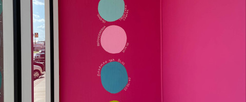 Barbie Inspired Colors